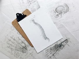 Die Geschichte der Osteopathie, Informationen von Martina Merländer.
